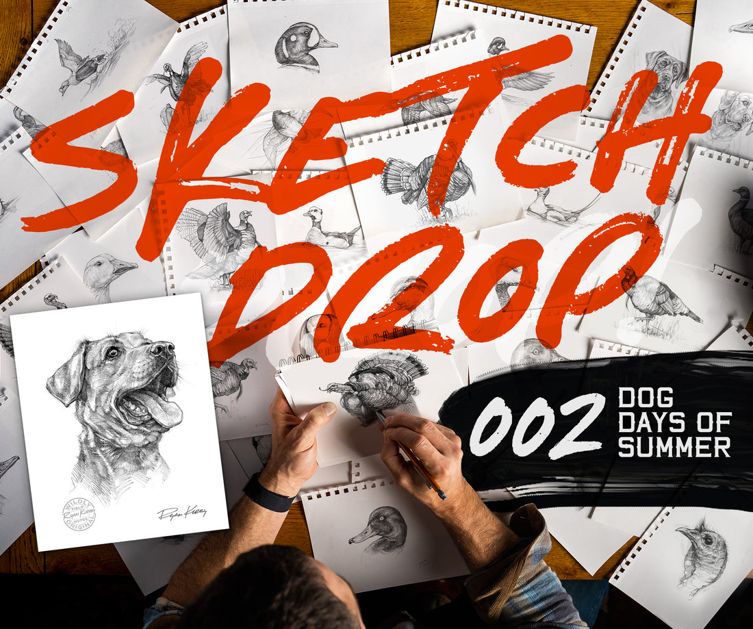 Ryan Kirby Art, Sketch Drop, Labrador, Dog Days of Summer