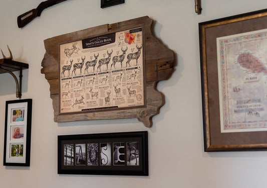 My Top 10 Creative ways to Display Your Whitetail and Waterfowl Print