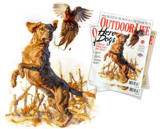 Heroes, Dogs... and Hero Dogs. From Canvas to Cover for the August, 2017 Cover of Outdoor Life