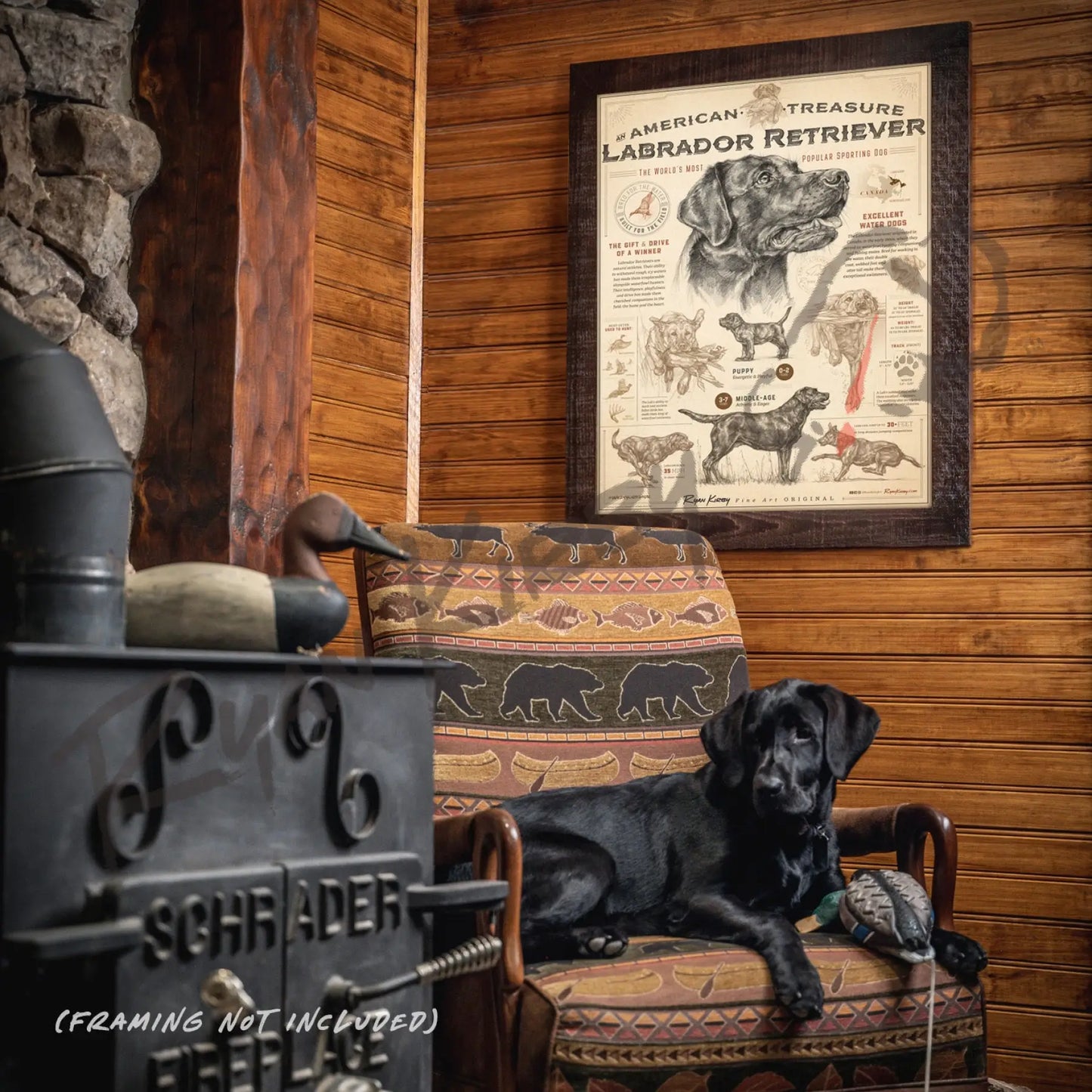 ’An American Treasure: The Labrador Retriever’ Poster