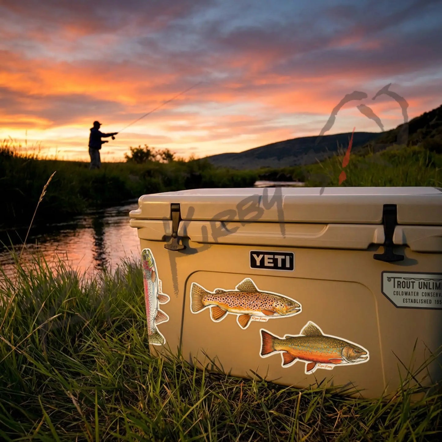 Appalachian Trout Decal 3-Pack – Brown Brook & Rainbow Trout - Apparel