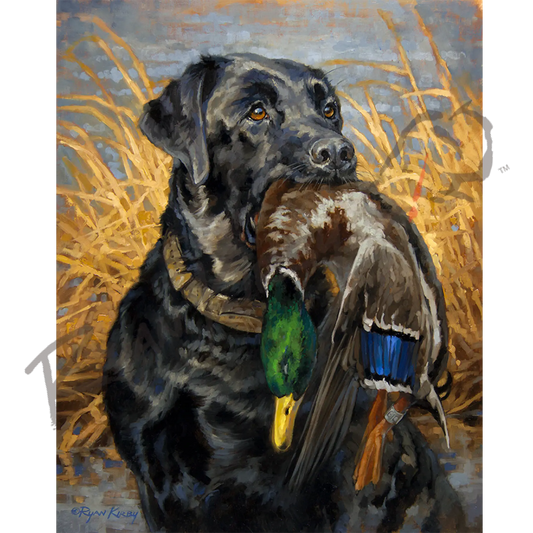 ’Black And Blue Lab’ Original Oil Painting