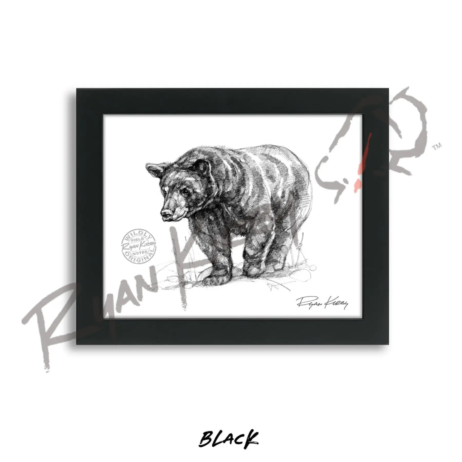 Black Bear Sketch Print Sketch Paper Print