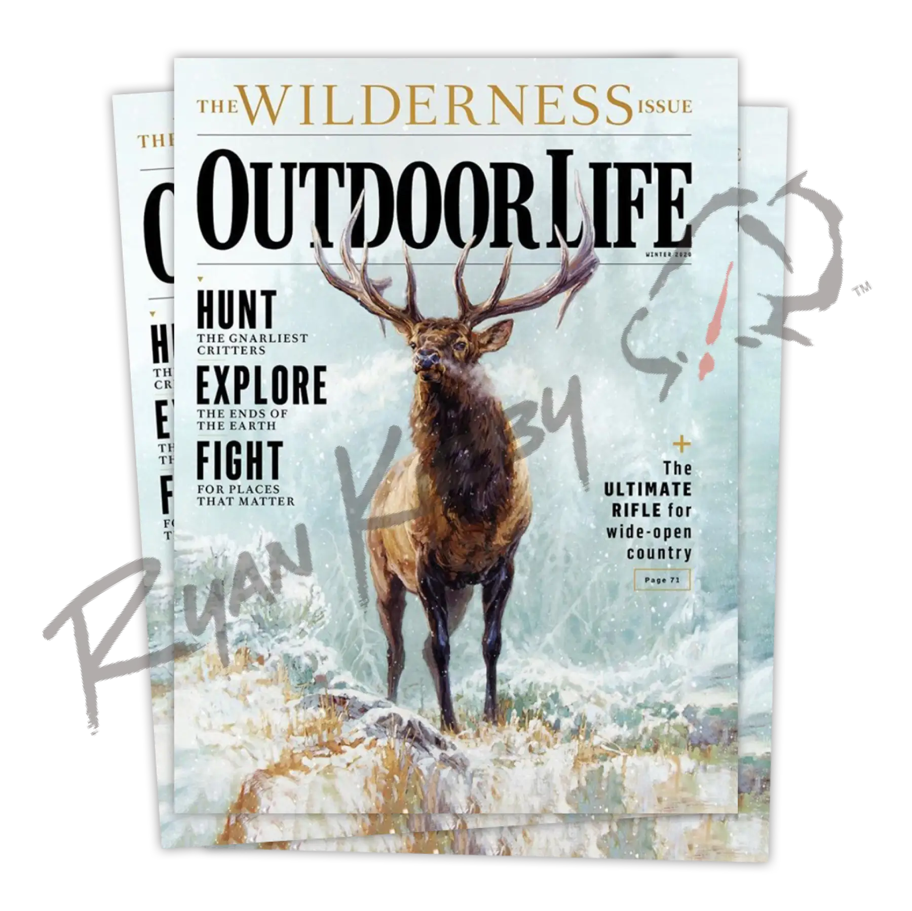 ’Blowing Smoke’ Bull Elk Canvas Art Print