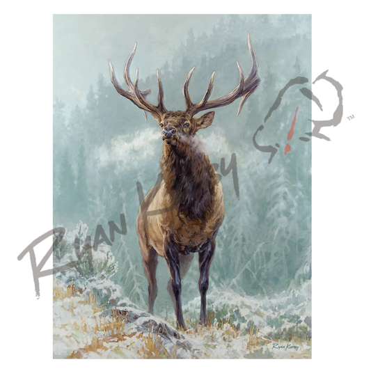 ’Blowing Smoke’ Bull Elk Canvas Art Print Unframed Rolled