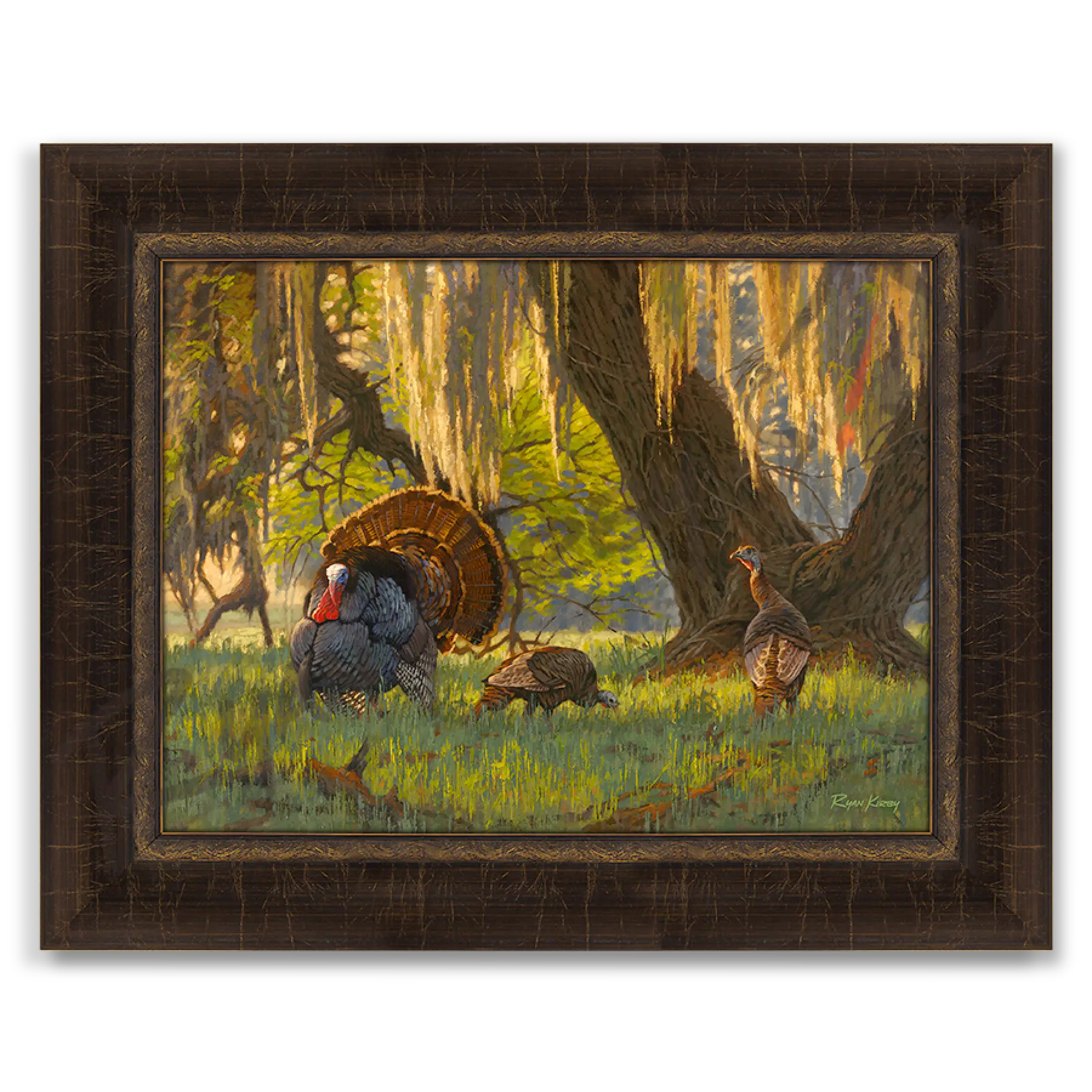 ’Boss Of The Moss’ Wild Turkey Canvas Art Print Riverside