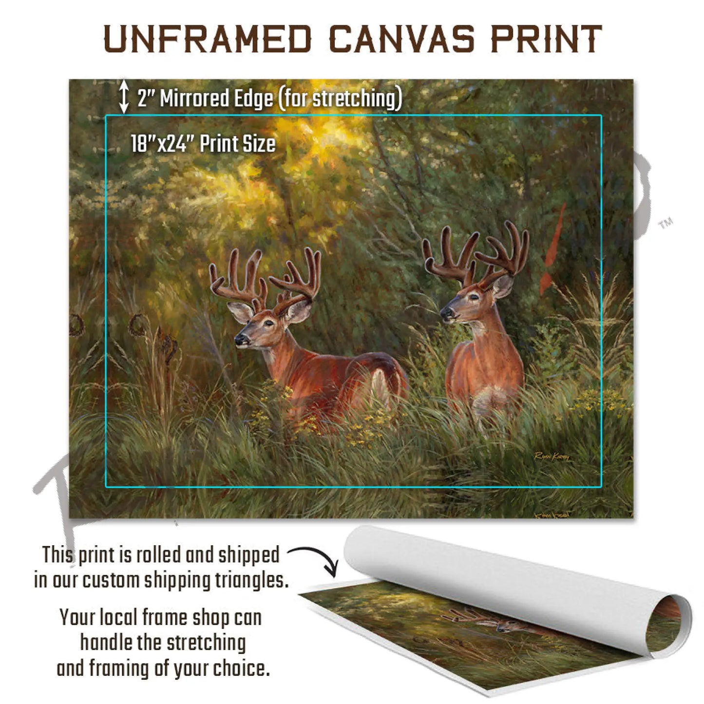 ’Boys Night Out’ White-Tailed Deer Canvas Art Print