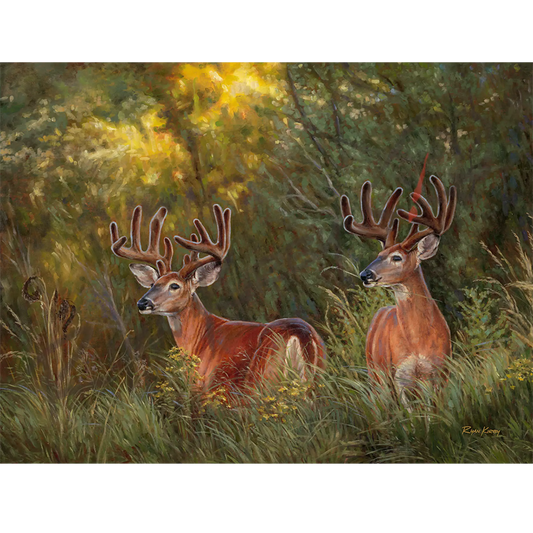 ’Boys Night Out’ White-Tailed Deer Canvas Art Print Unframed Rolled