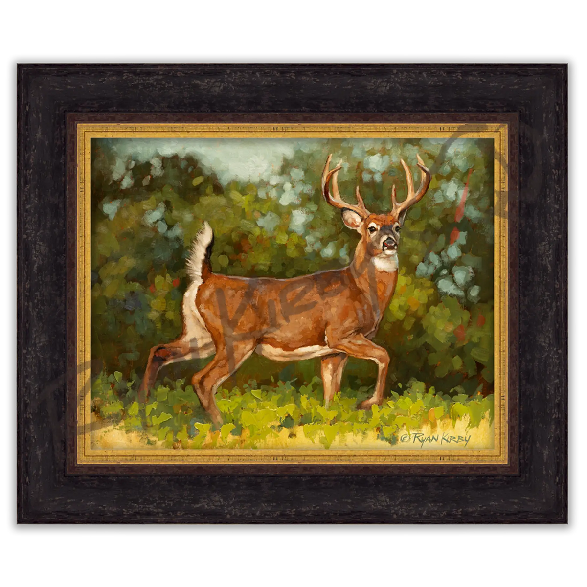 ’Brassica Buck’ White-Tail Buck Original Oil Painting - Original Oil Painting