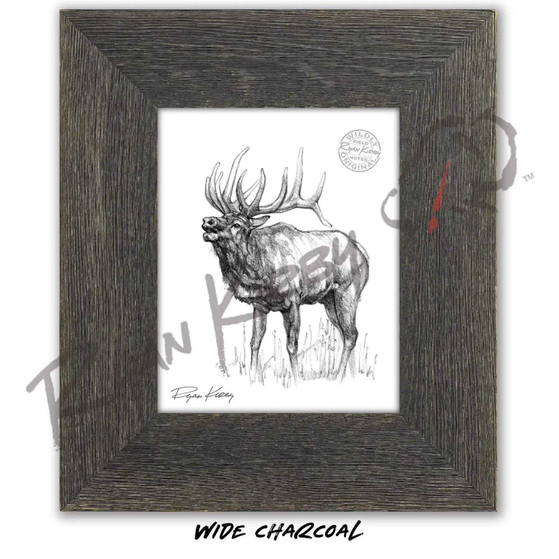Bugling Bull Elk Sketch Print Sketch Paper Print