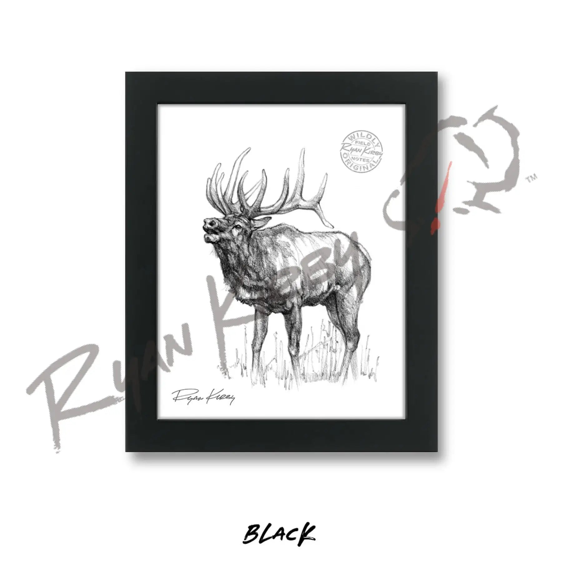 Bugling Bull Elk Sketch Print Sketch Paper Print