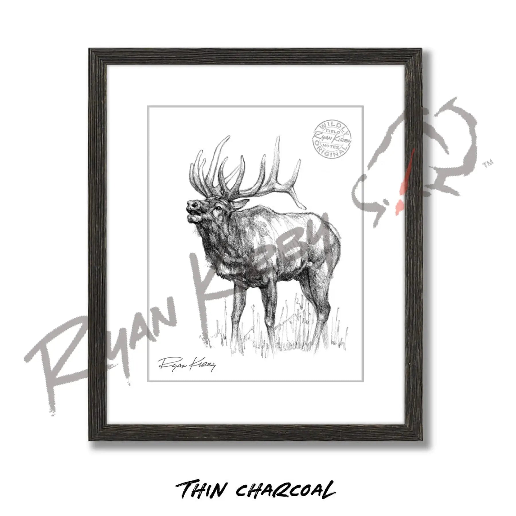 Bugling Bull Elk Sketch Print Sketch Paper Print