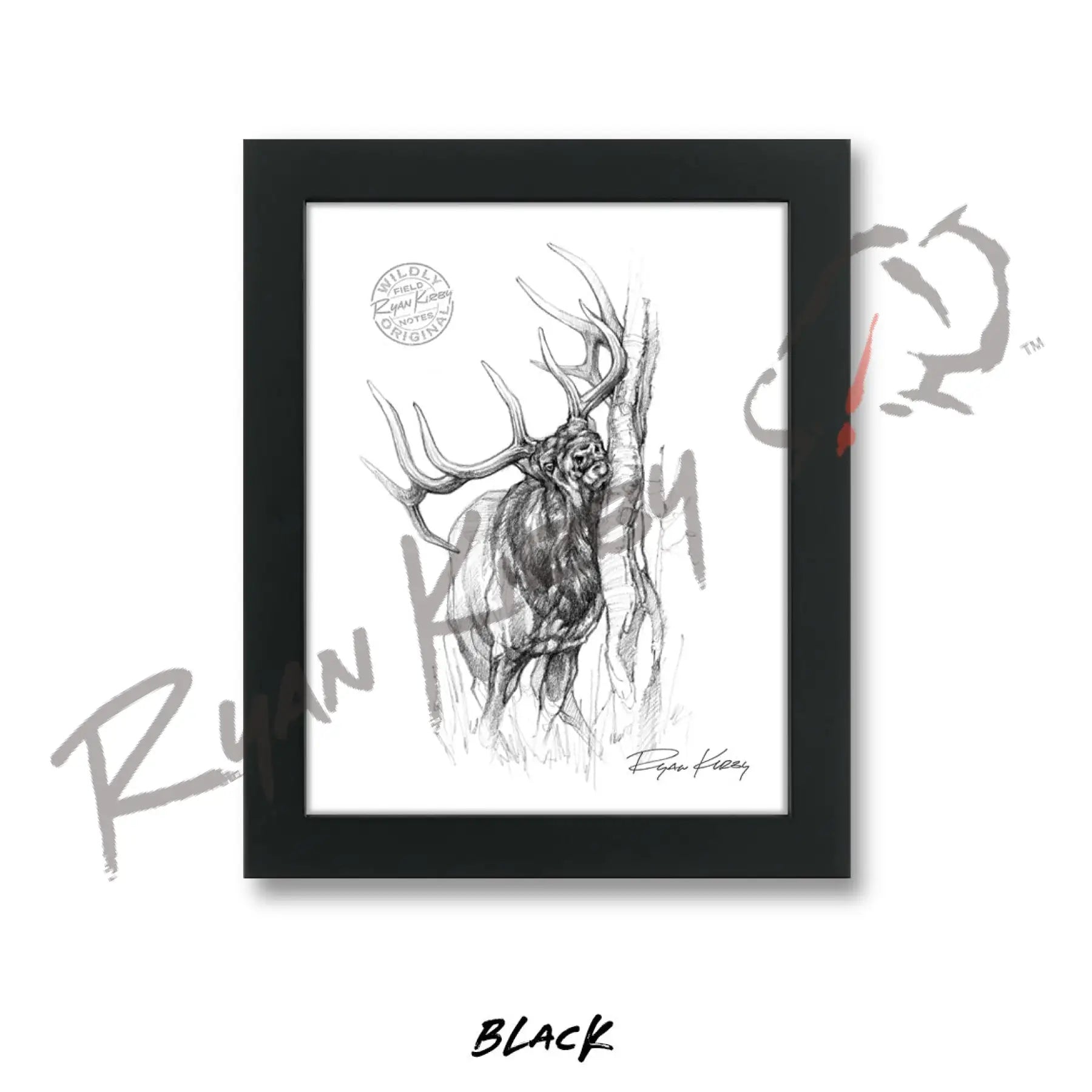 Bull Elk Rub Sketch Print Sketch Paper Print