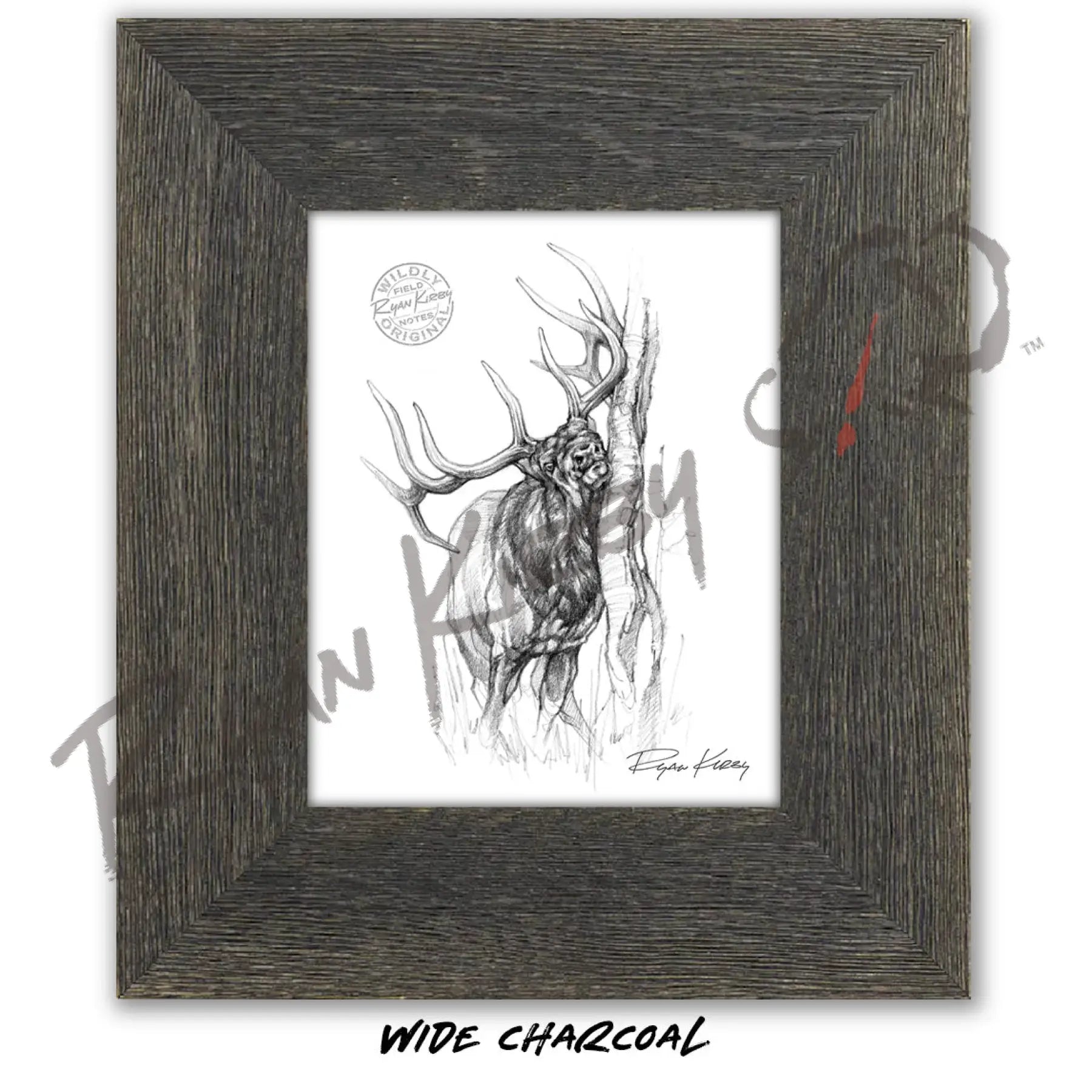 Bull Elk Rub Sketch Print Sketch Paper Print