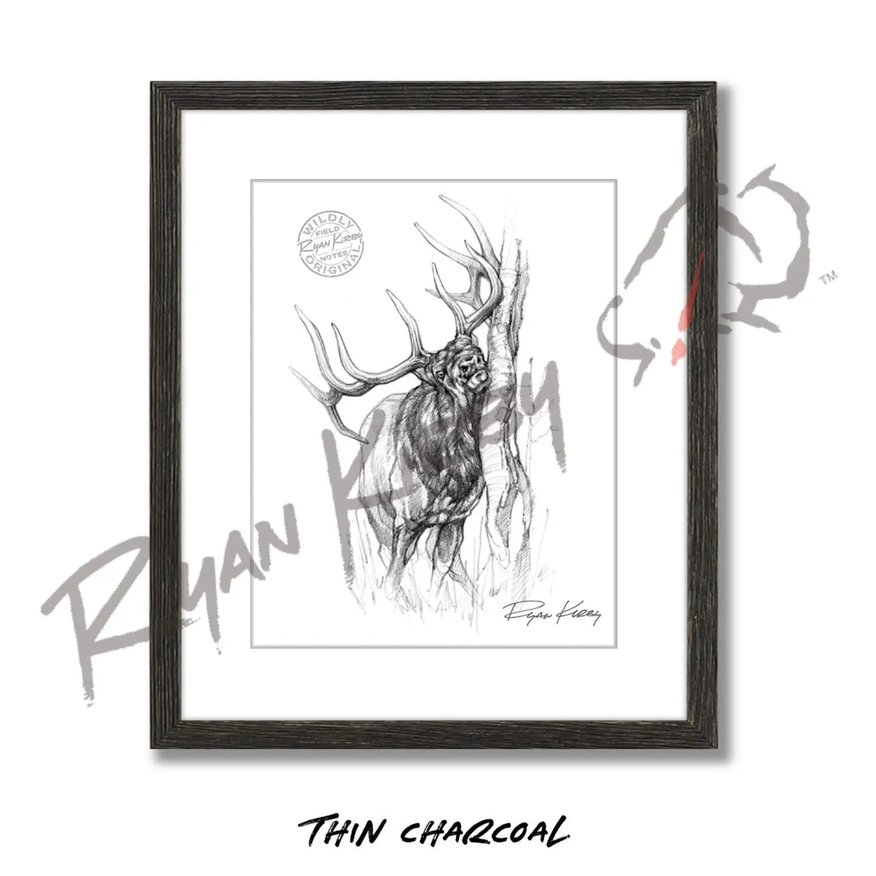 Bull Elk Rub Sketch Print Sketch Paper Print