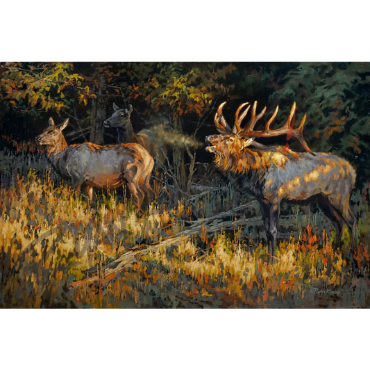 ’Cherokee Pride’ Original Oil Painting