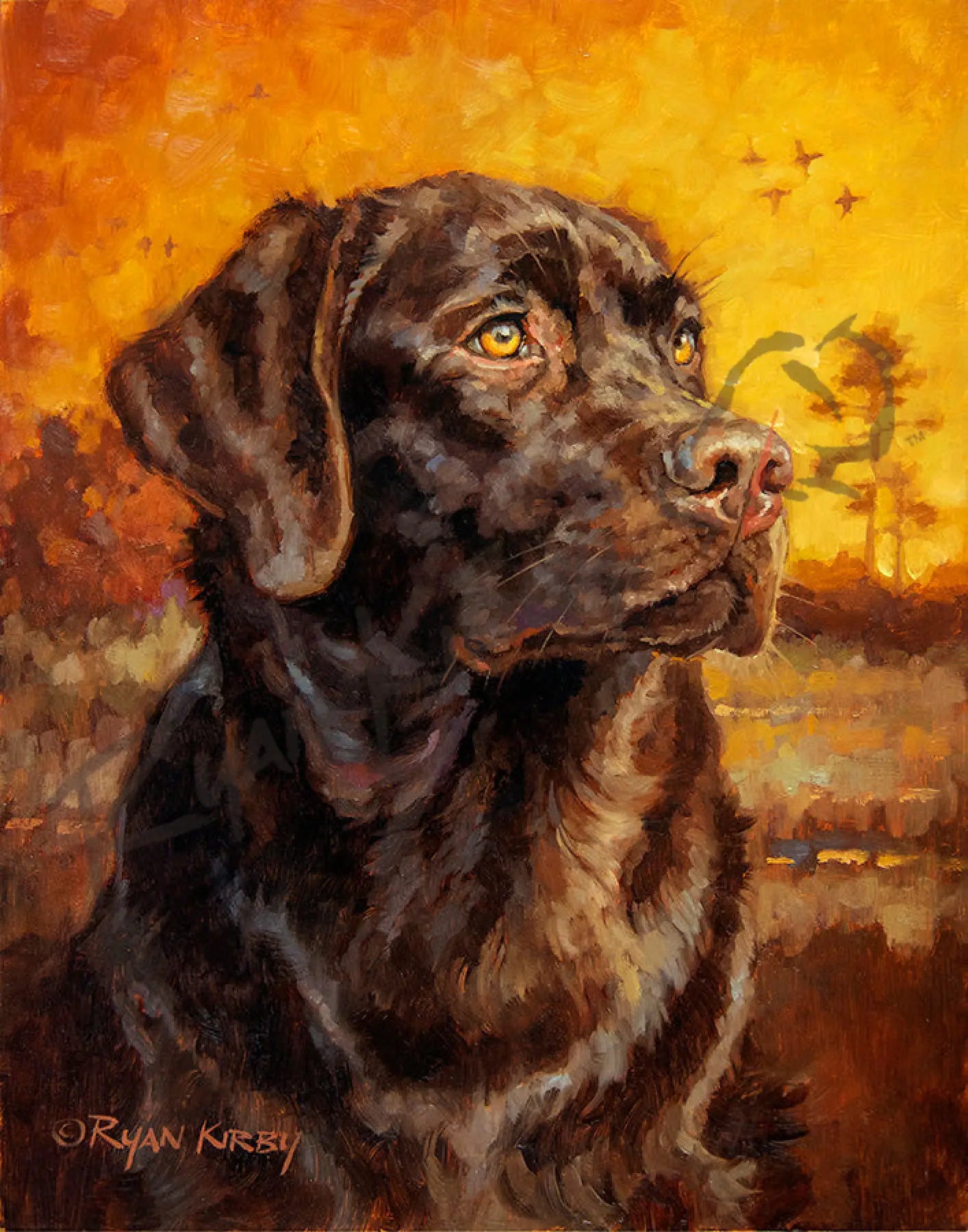 Chocolate Lab, Sunrise, Ryan Kirby Art, SEWE