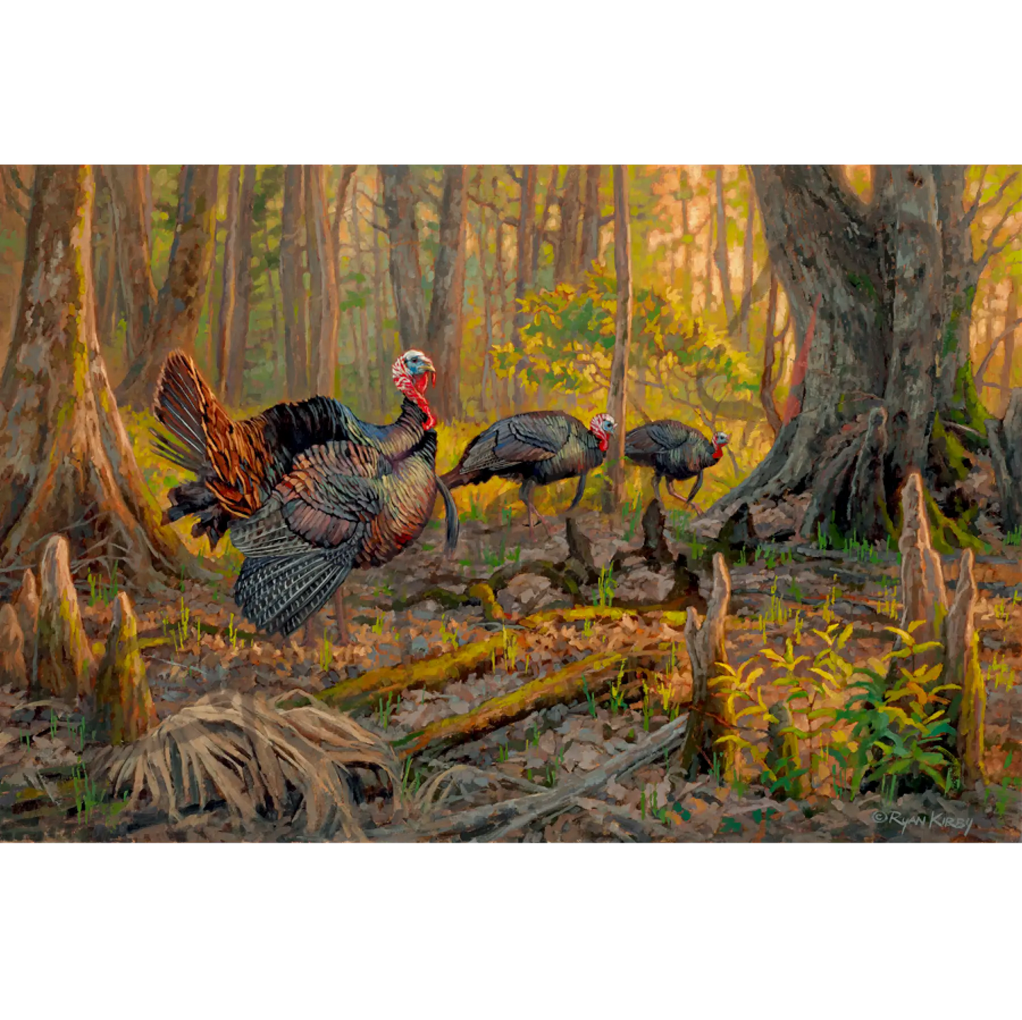 ’Cypress Sunrise’ Original Oil Painting