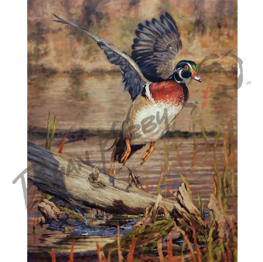 ’Driftwood Drake’ Original Oil Painting