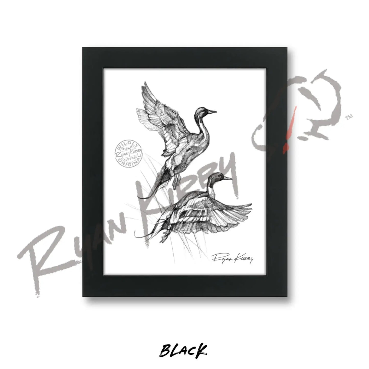 Flying Pintails Sketch Print Sketch Paper Print