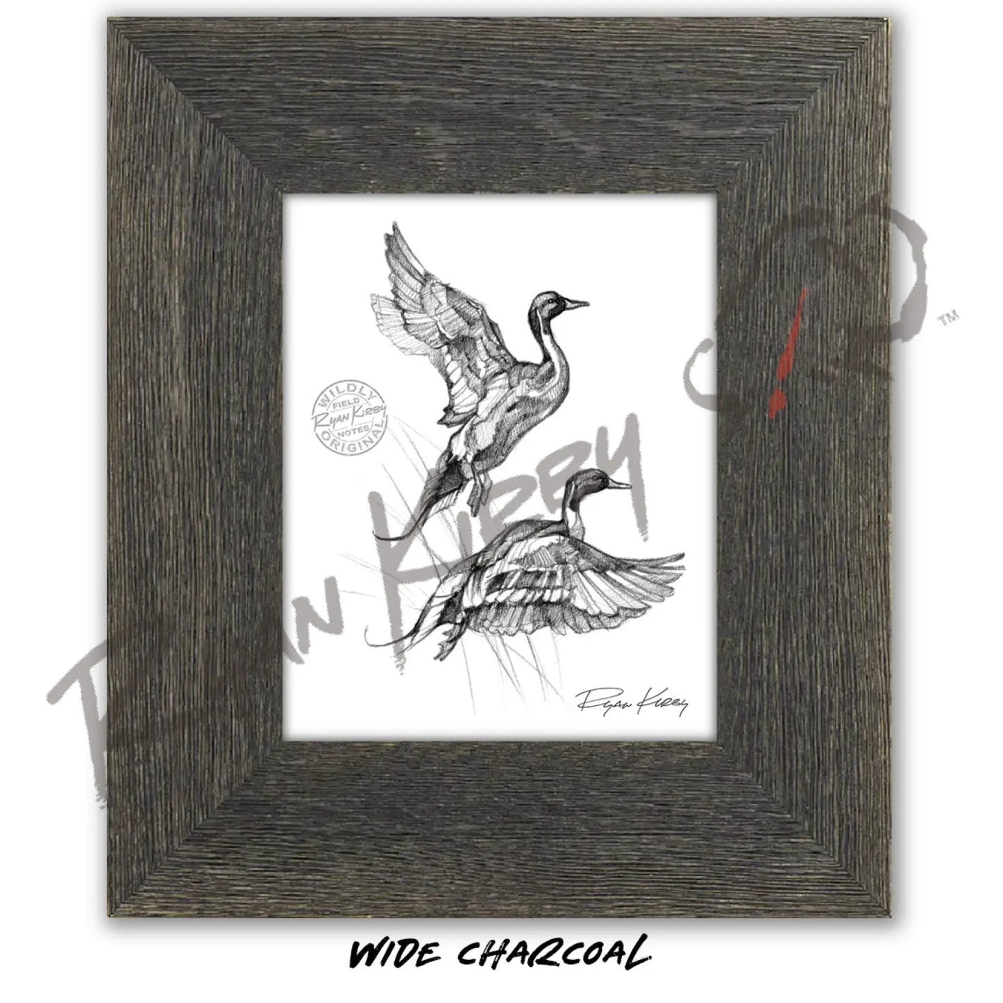 Flying Pintails Sketch Print Sketch Paper Print