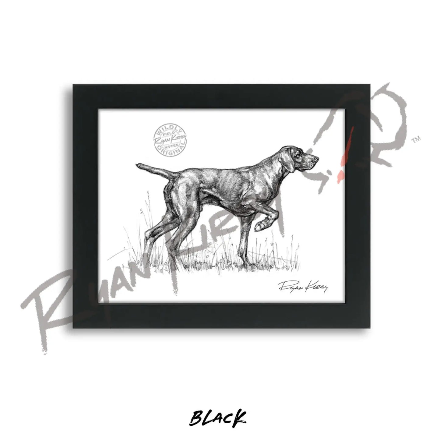 German Shorthaired Pointer Sketch Print Sketch Paper Print