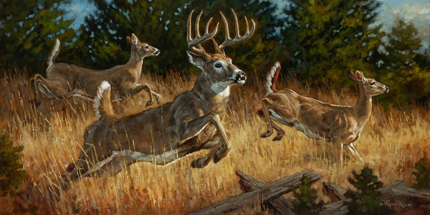 ’Gone with the Wind’ Original Oil Painting of Running White-tailed Deer - Original Oil Painting
