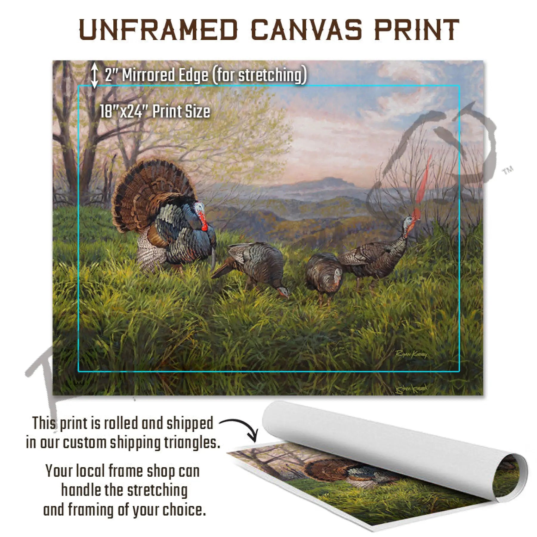 ’Grandfather Gobbler’ Wild Turkey Canvas Art Print