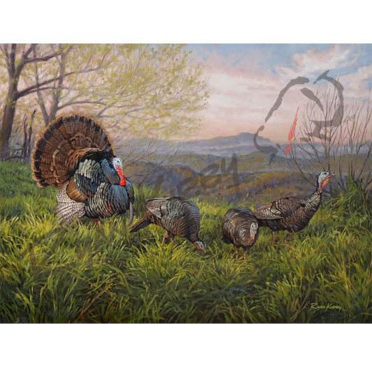 ’Grandfather Gobbler’ Wild Turkey Canvas Art Print Unframed Rolled