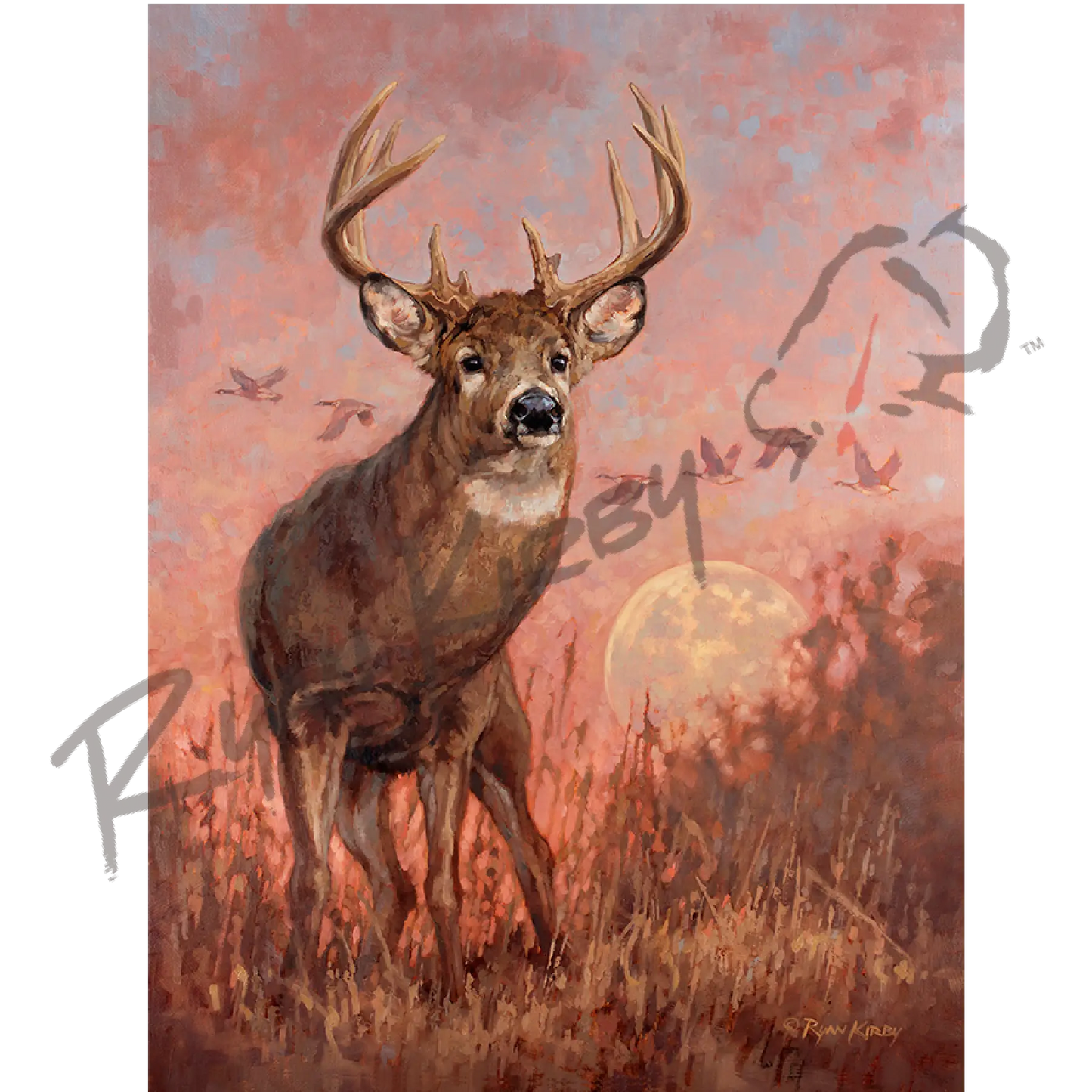 ’Harvest Time’ White-Tailed Deer Canvas Art Print Unframed Rolled