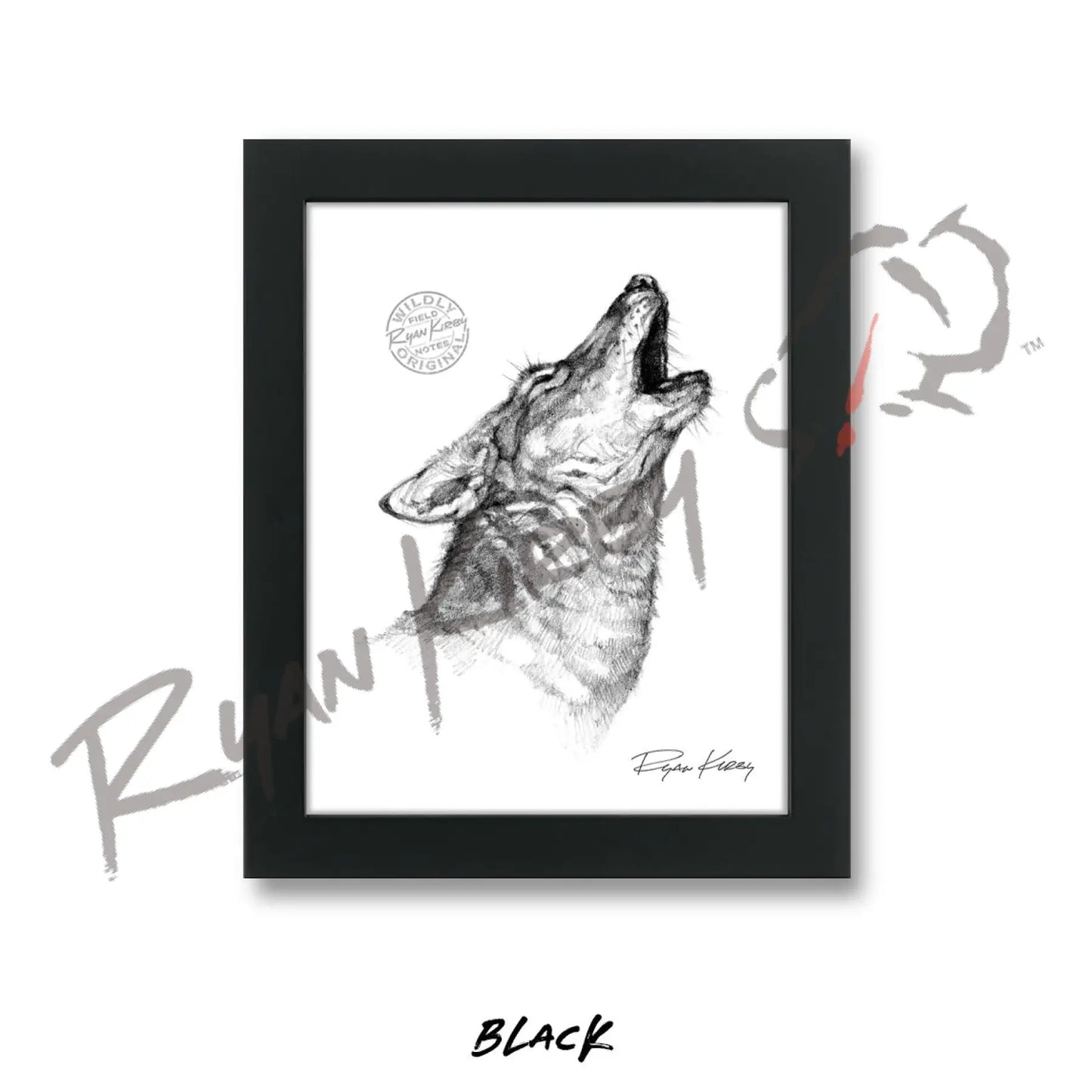 Howling Coyote Sketch Print Sketch Paper Print