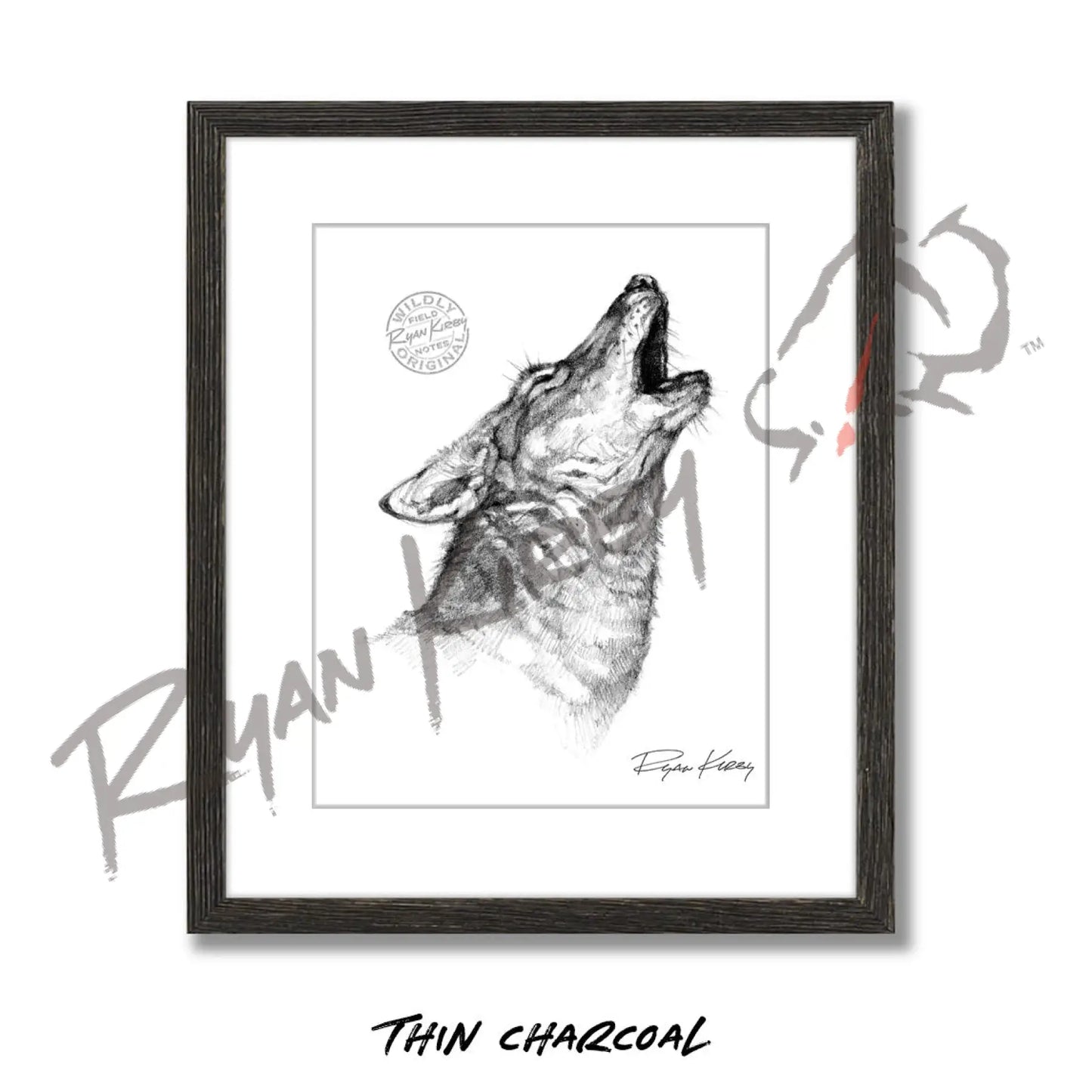 Howling Coyote Sketch Print Sketch Paper Print