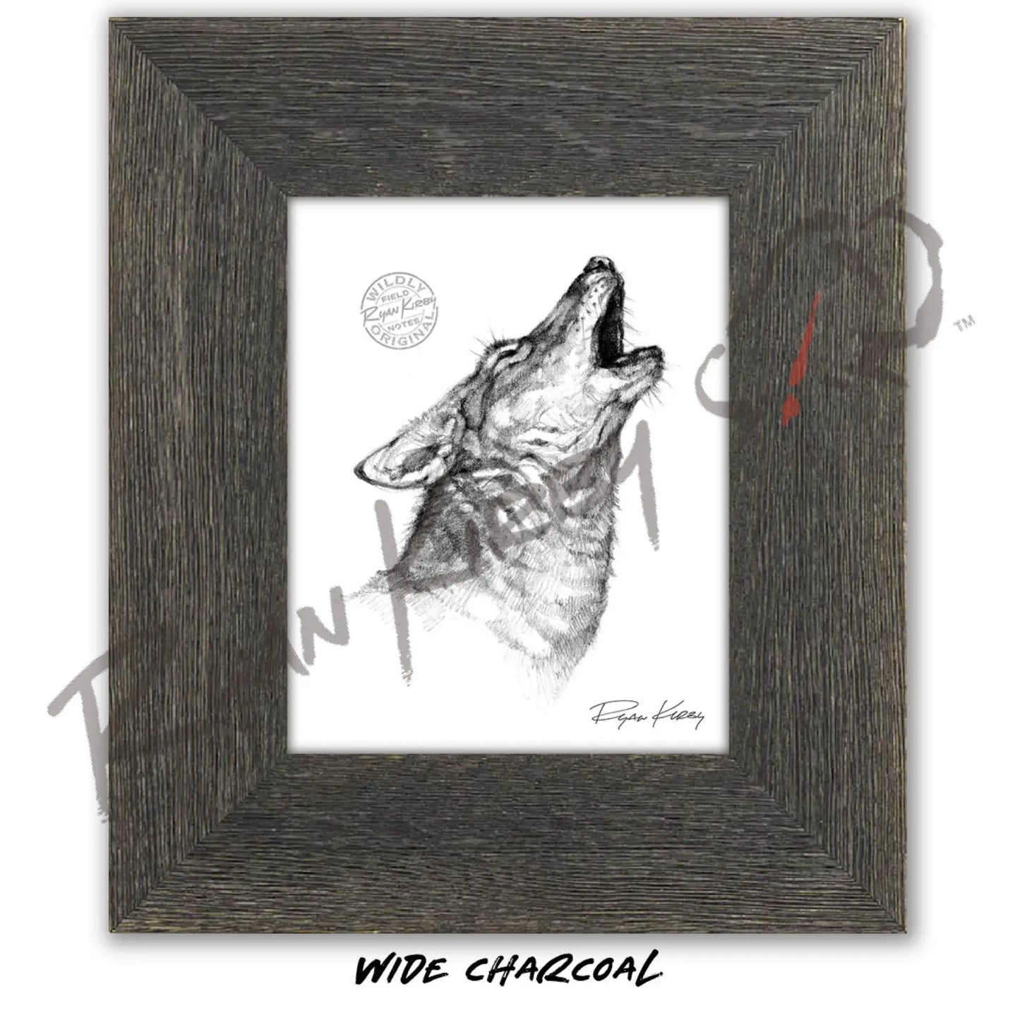 Howling Coyote Sketch Print Sketch Paper Print