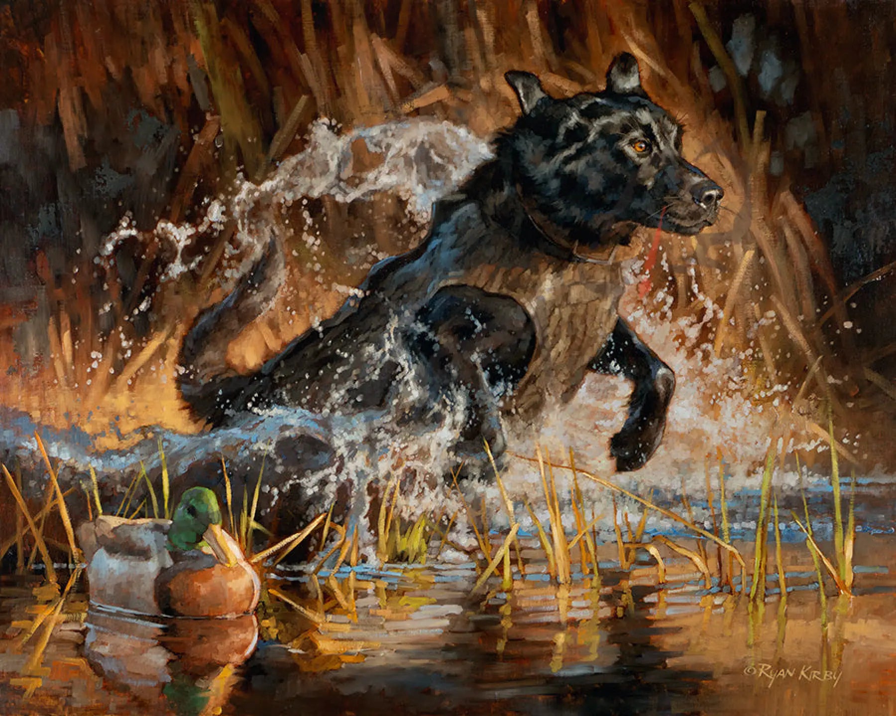 Into The Limelight Original Oil Painting