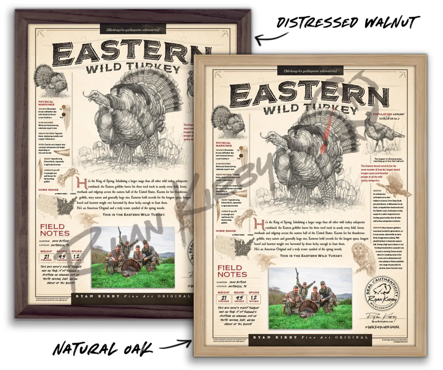 JUST THE SHELL - “Eastern Wild Turkey” Customizable Paper Print Custom Paper Print