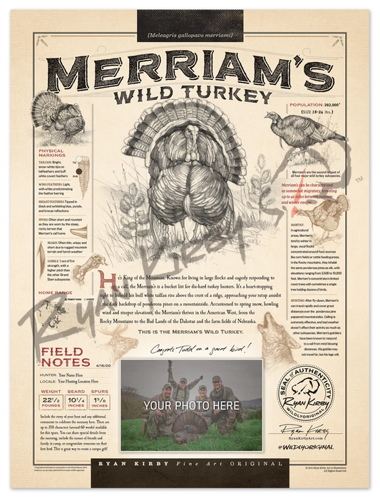 “Merriam’s Wild Turkey” Personalized Paper Print Custom