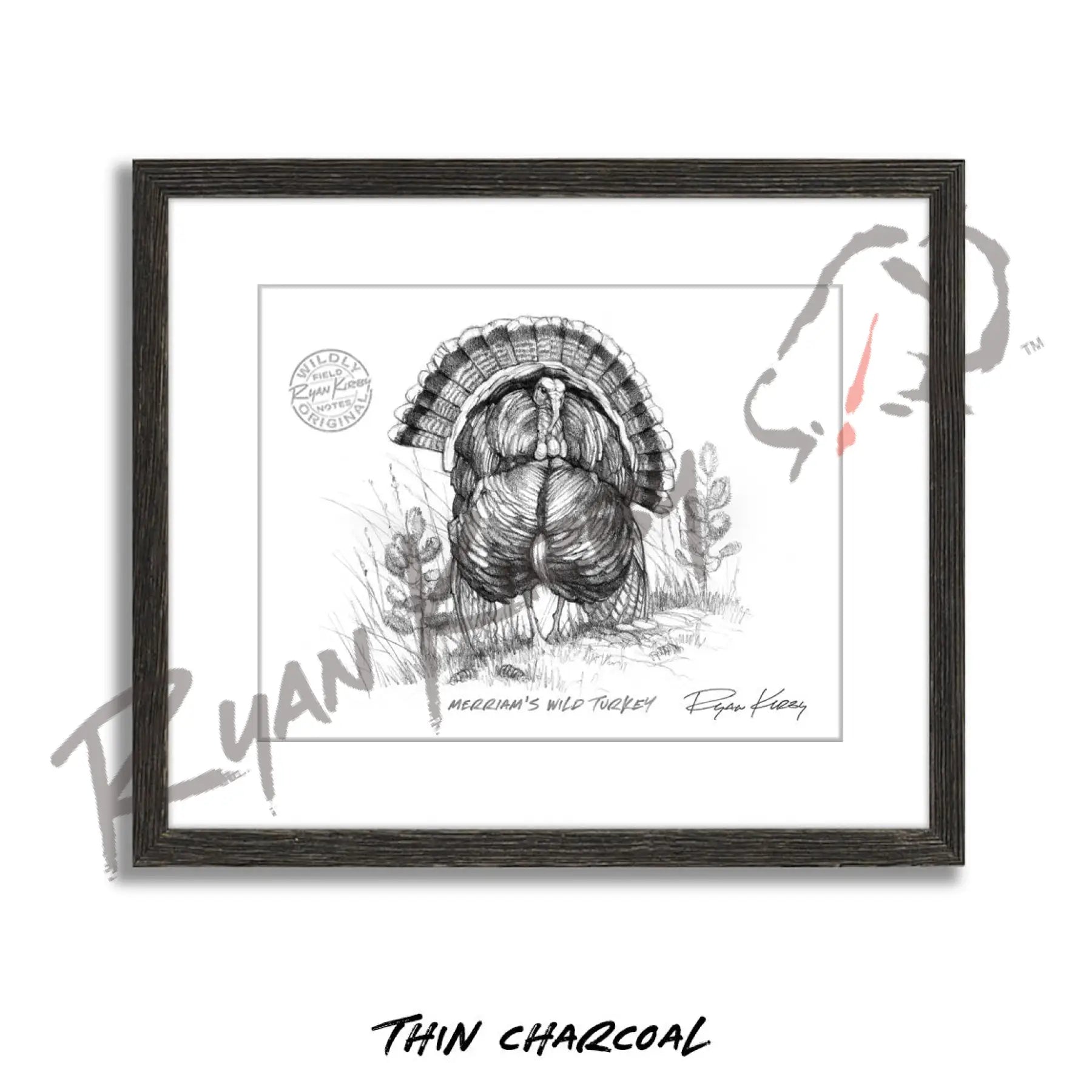 Merriam’s Wild Turkey Sketch Print Sketch Paper Print