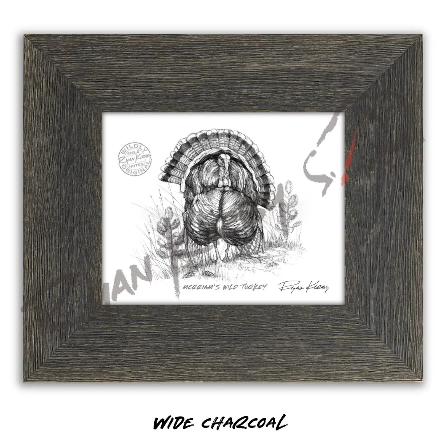Merriam’s Wild Turkey Sketch Print Sketch Paper Print