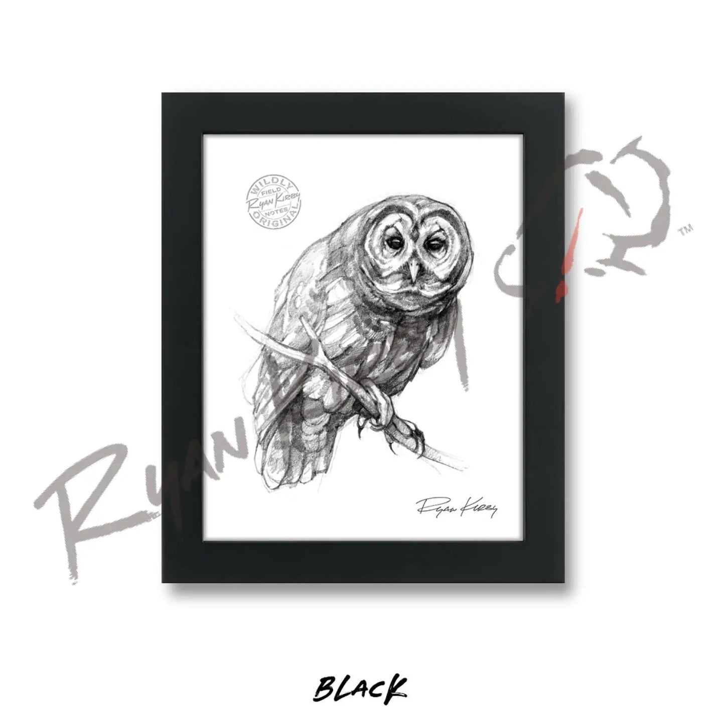 Owl Sketch Print Sketch Paper Print