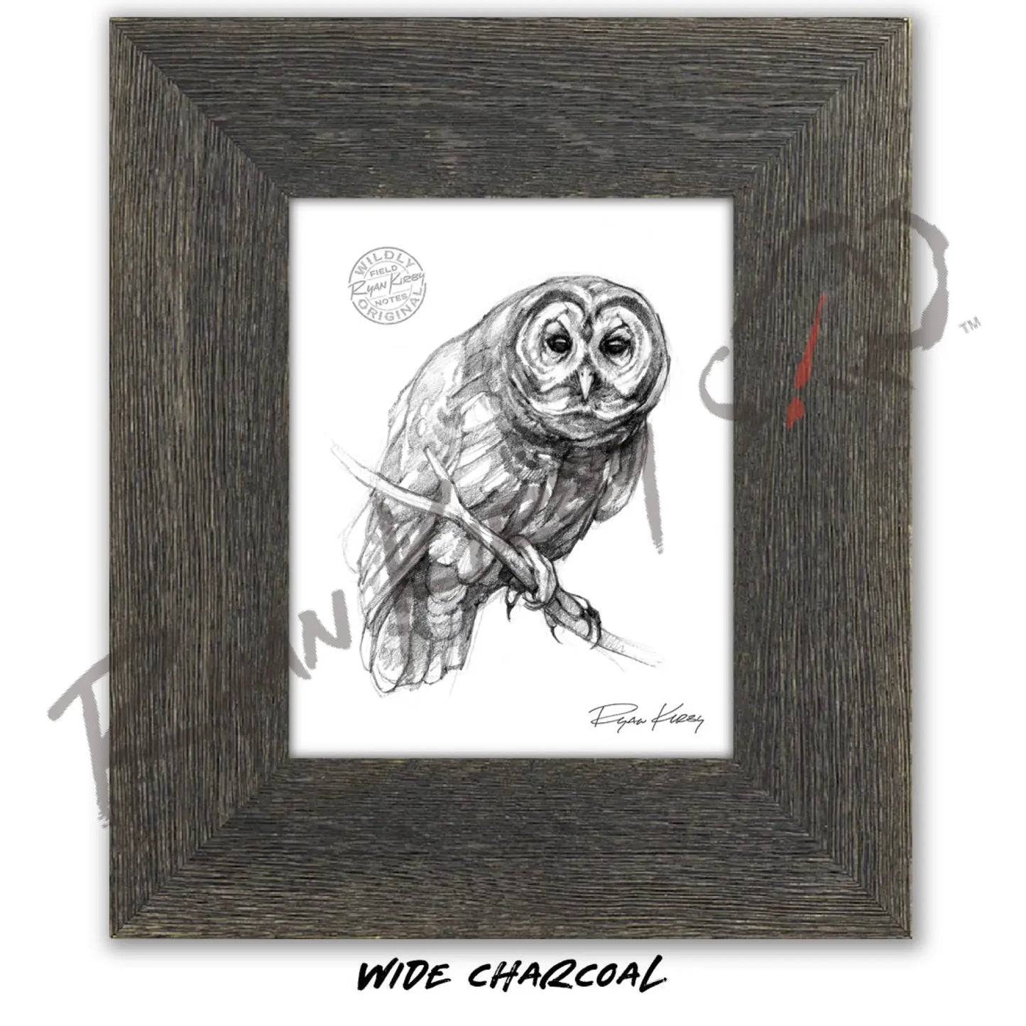 Owl Sketch Print Sketch Paper Print