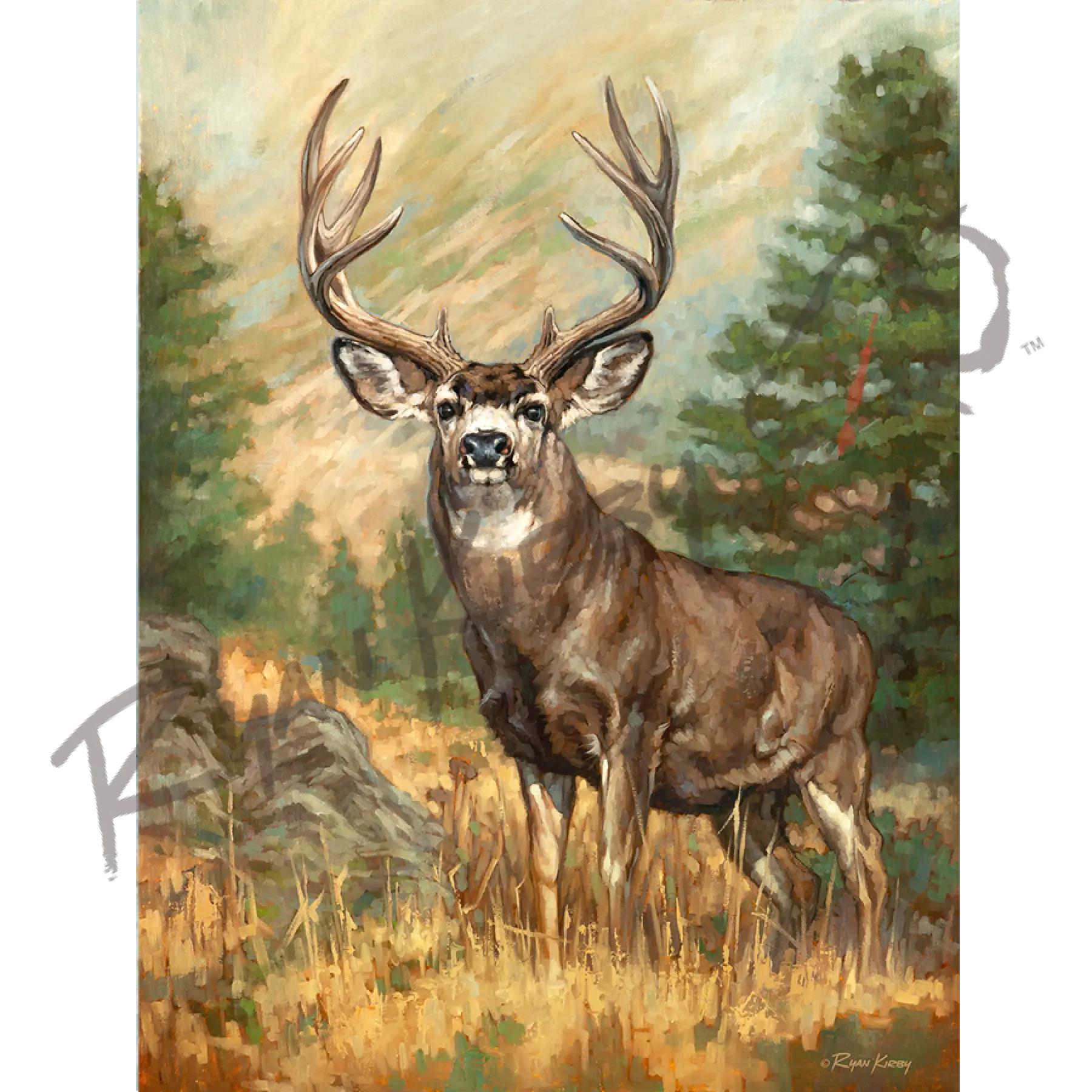 ponderosa-ghost-mule-deer-canvas-art-print-ryan-kirby-wildlife-and-hunting-art for Free Printable Deer Hunting Birthday Cards Ponderosa Ghost