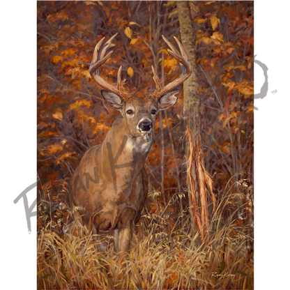 ’Posting Up’ White-Tailed Deer Canvas Art Print Unframed Rolled