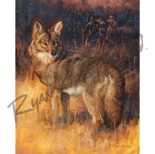 ’Rabbit Rustler’ Original Oil Painting