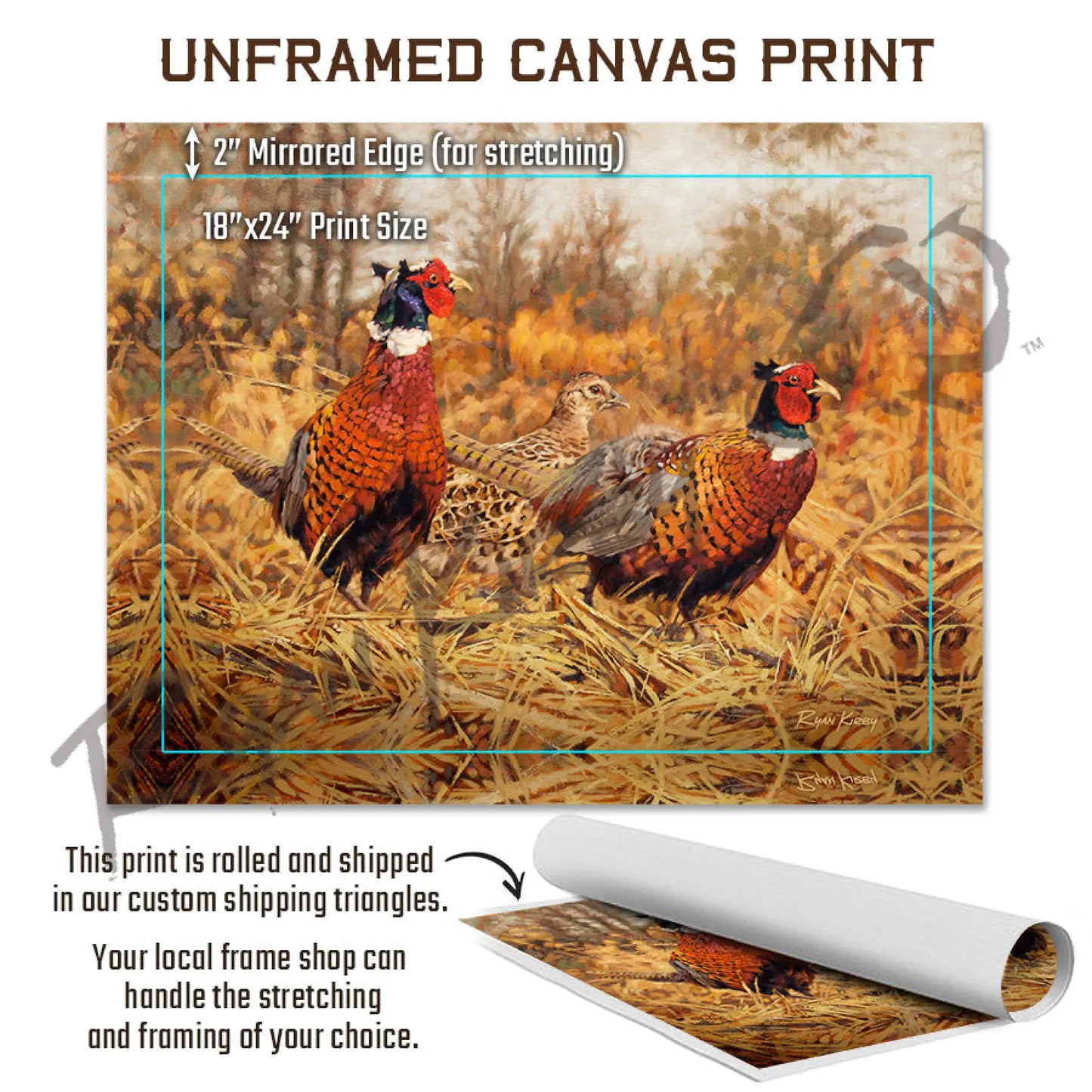 ’Ring-Neck Refuge’ Ring-Necked Pheasant Canvas Art Print