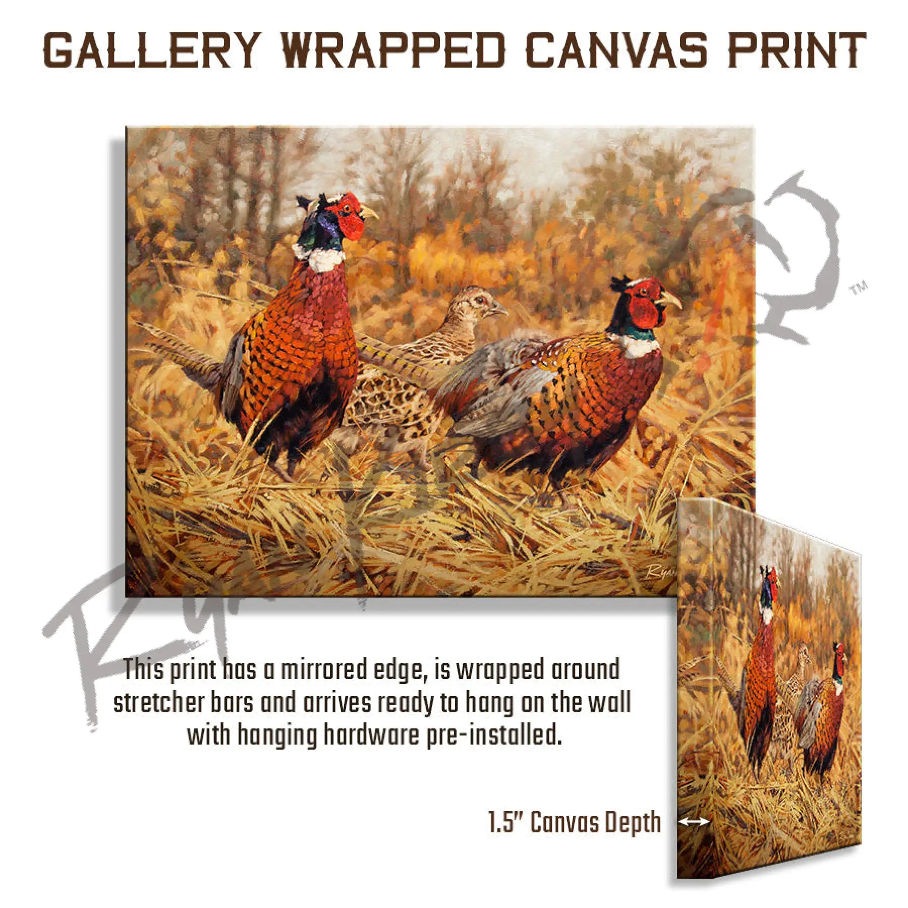 ’Ring-Neck Refuge’ Ring-Necked Pheasant Canvas Art Print Gallery Wrapped