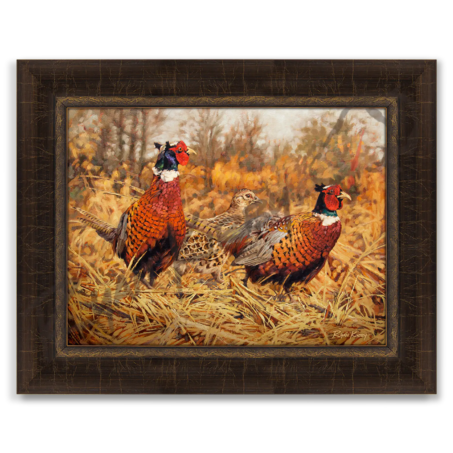 ’Ring-Neck Refuge’ Ring-Necked Pheasant Canvas Art Print Riverside