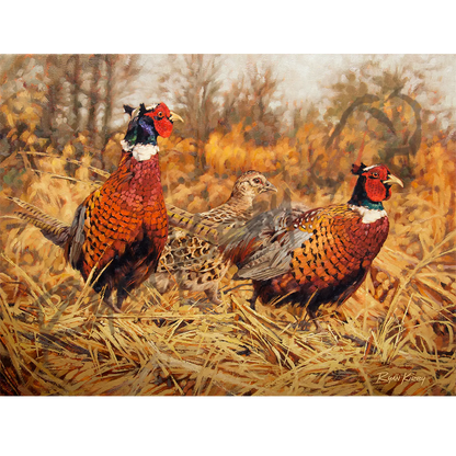 ’Ring-Neck Refuge’ Ring-Necked Pheasant Canvas Art Print Unframed Rolled
