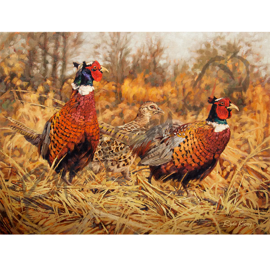 ’Ringneck Refuge’ Original Oil Painting
