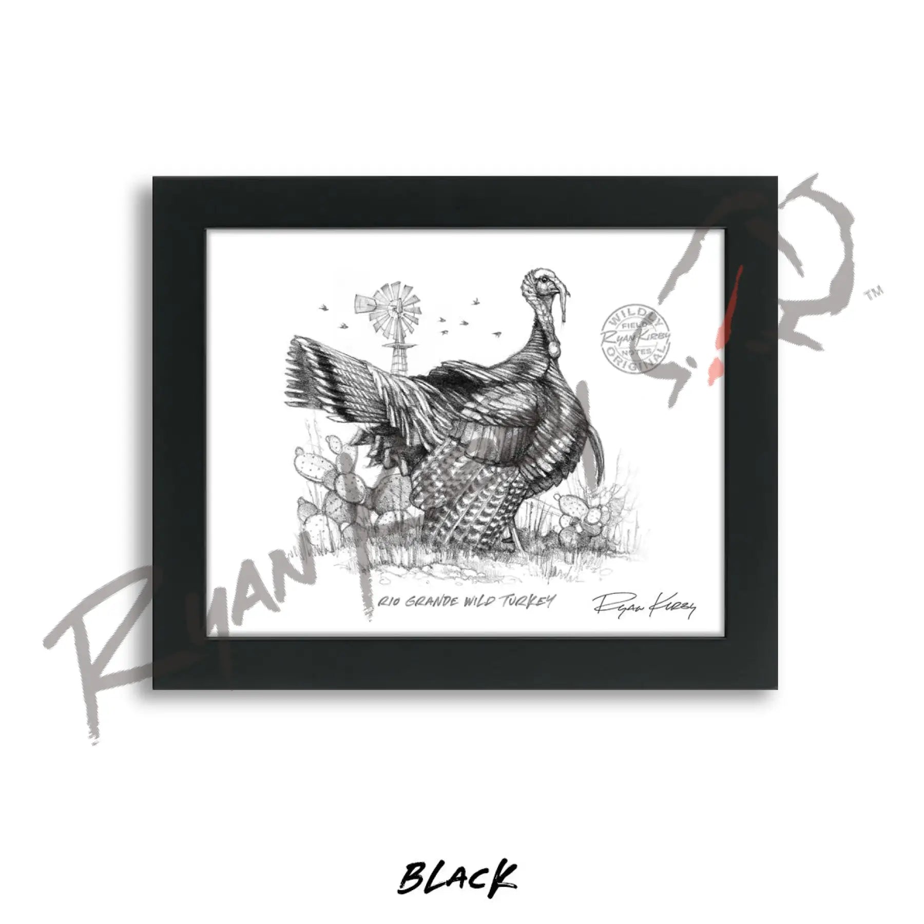 Rio Grande Wild Turkey Sketch Print Sketch Paper Print