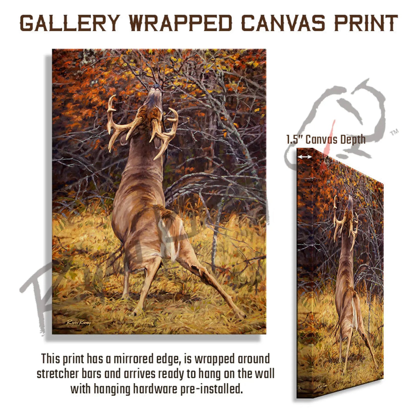 ’Scrape Line’ White-Tailed Deer Canvas Art Print Gallery Wrapped